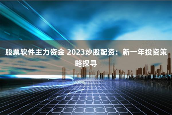 股票软件主力资金 2023炒股配资：新一年投资策略探寻