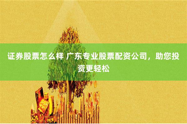 证券股票怎么样 广东专业股票配资公司,助您投资更轻松